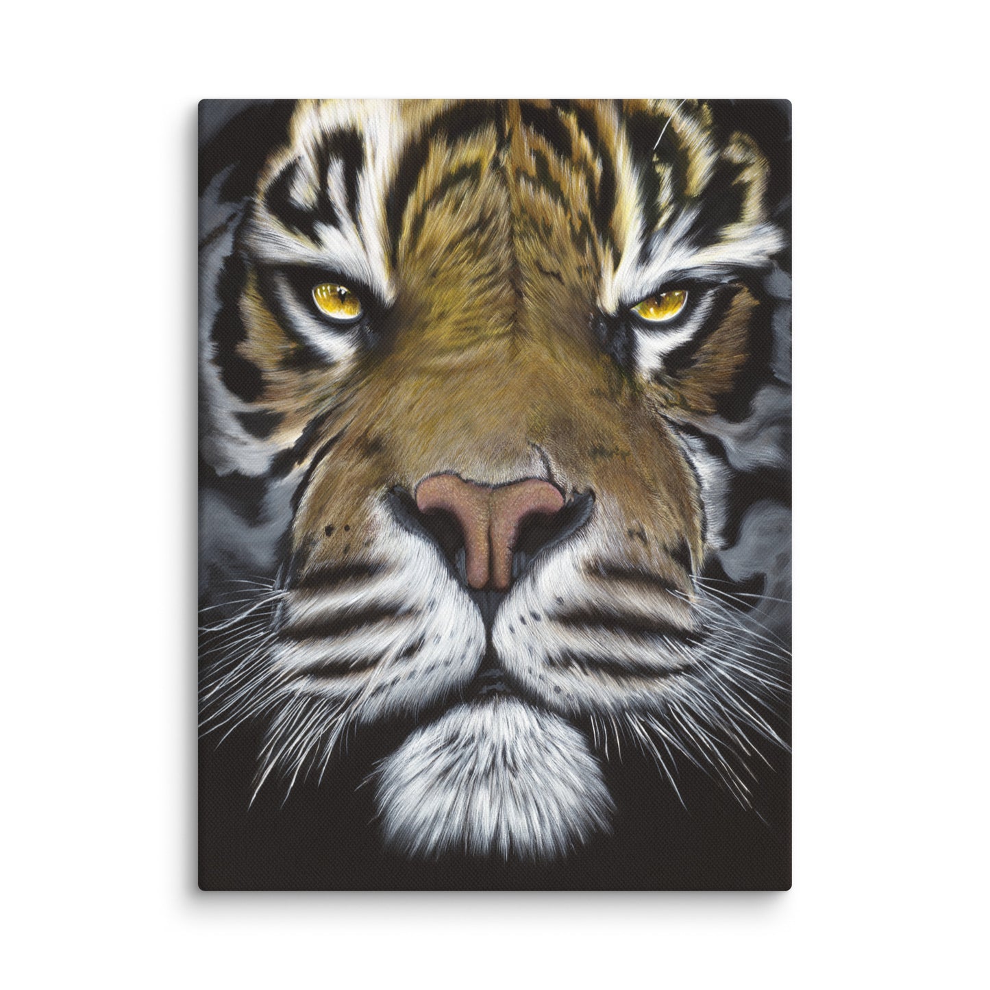 The Glare "Canvas"