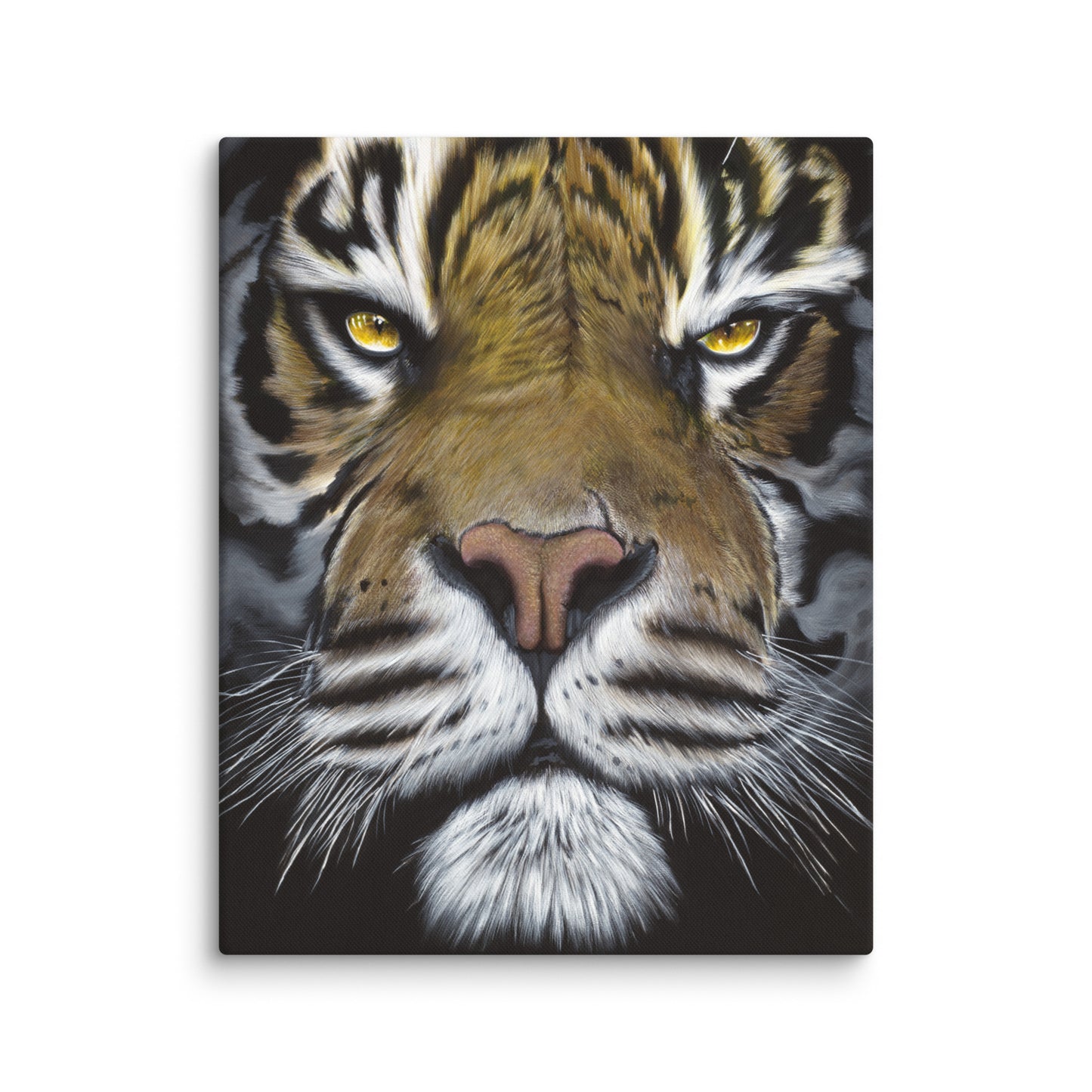 The Glare "Canvas"