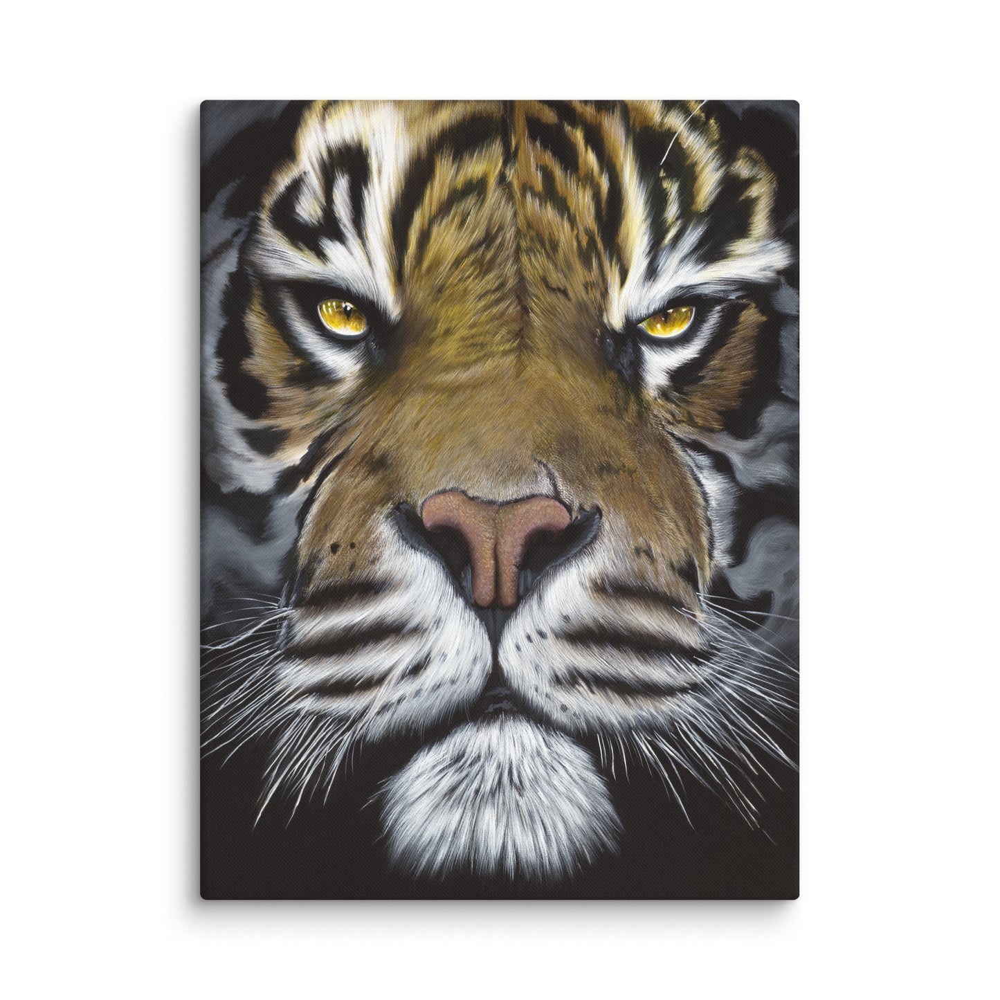 The Glare "Canvas"
