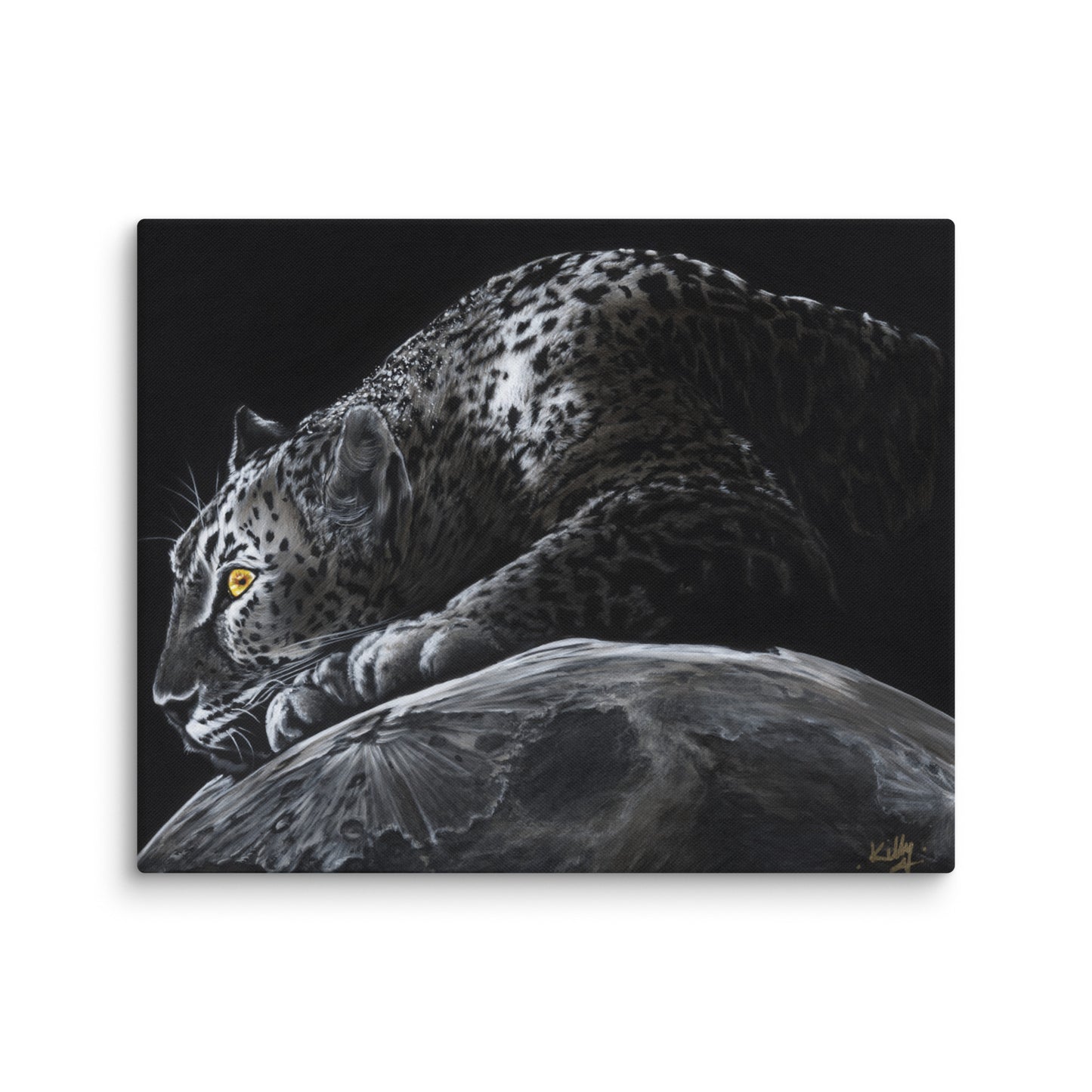 Snow Leopard "Canvas"