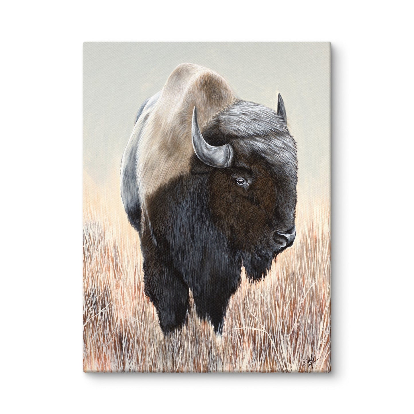 Buffalo "Canvas"